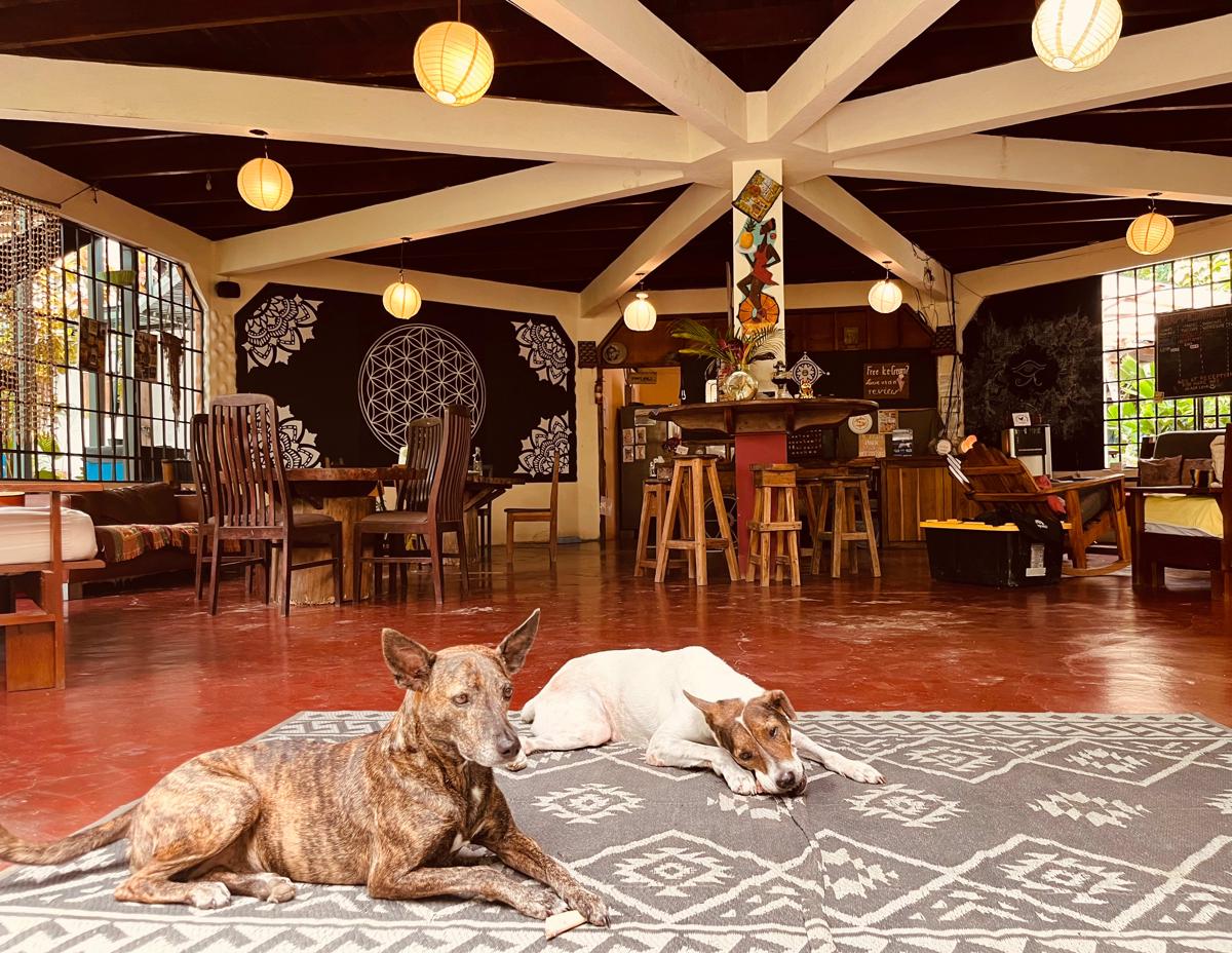 La Ruka Hostel photo 3
