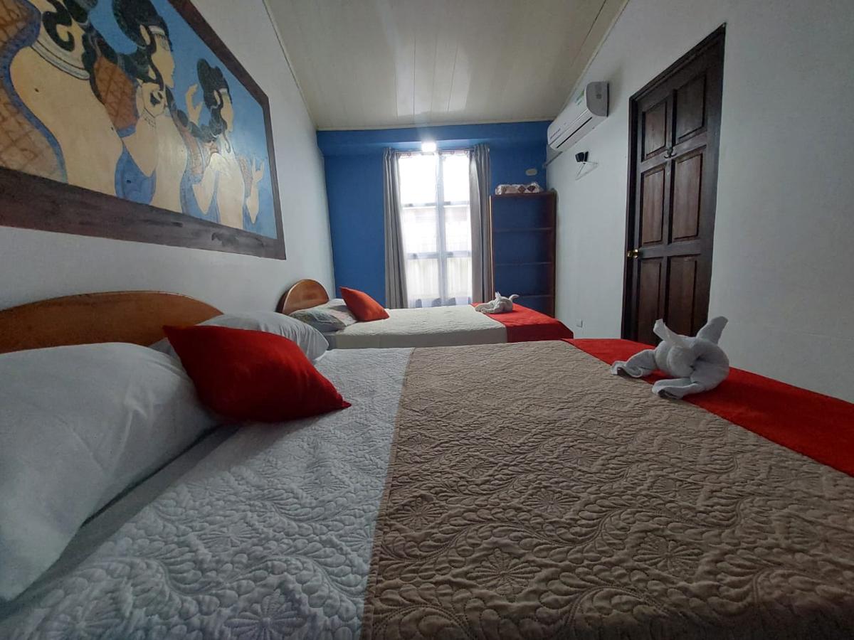 Sleeping Mountain Arenal Hostel photo 4