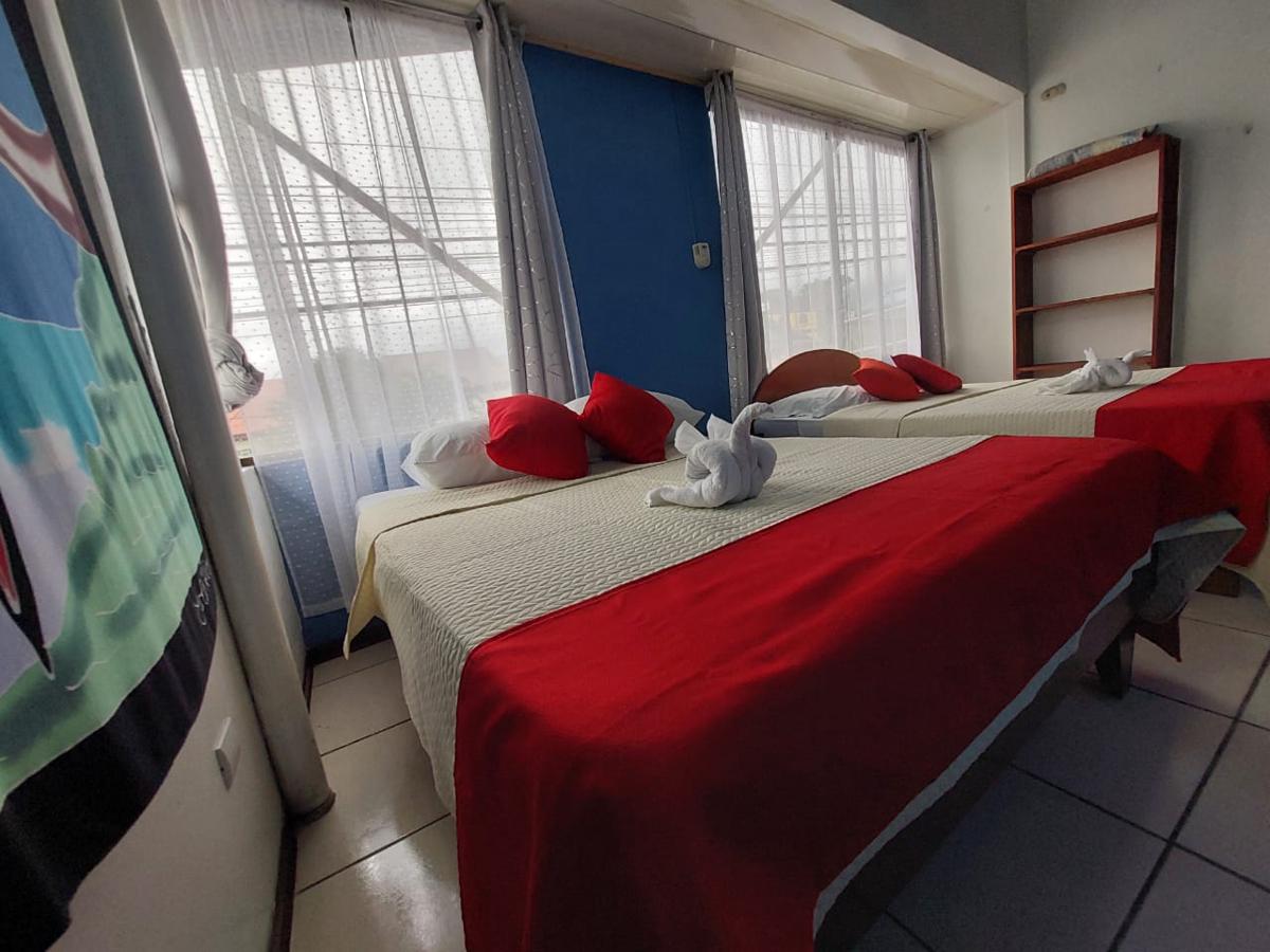 Sleeping Mountain Arenal Hostel photo 6