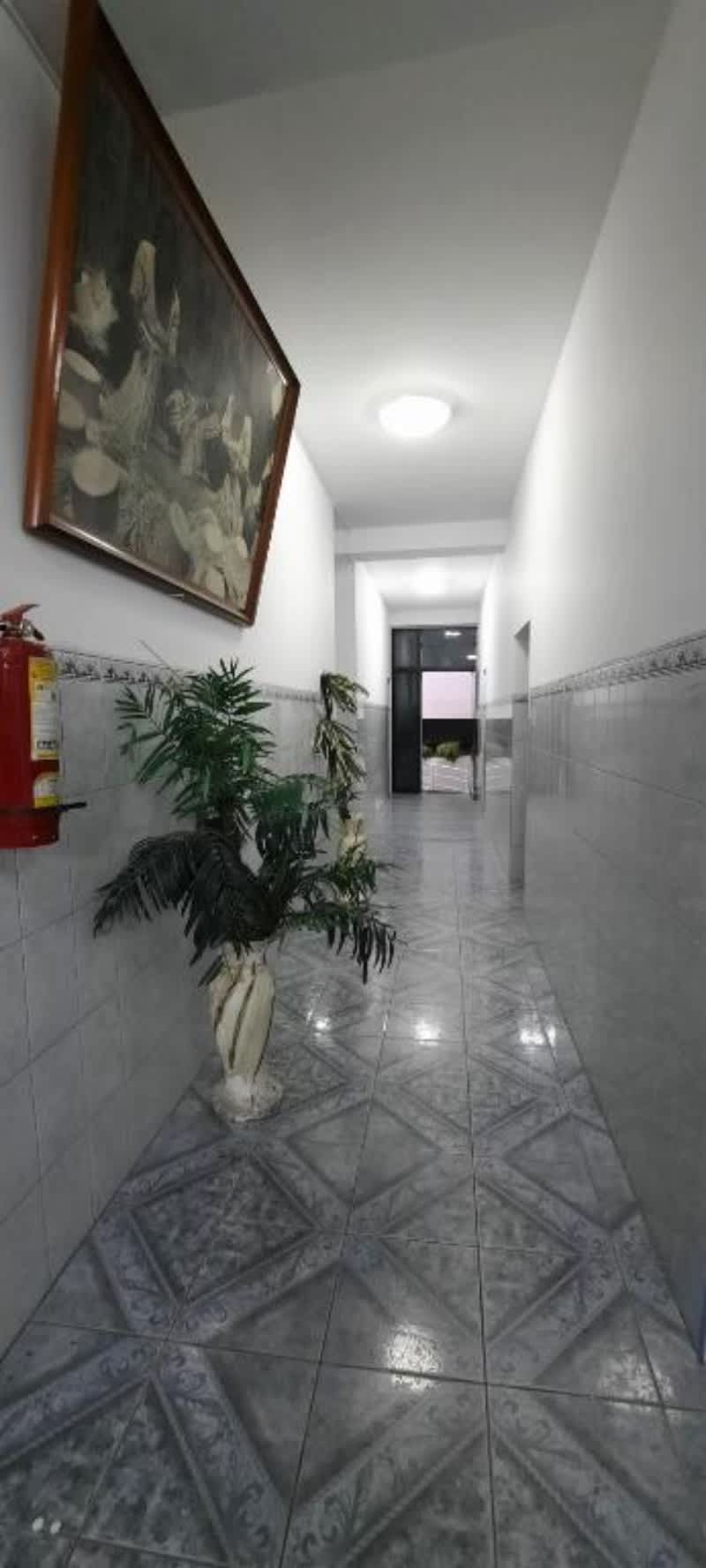 Hostal Las Palmeras photo 4