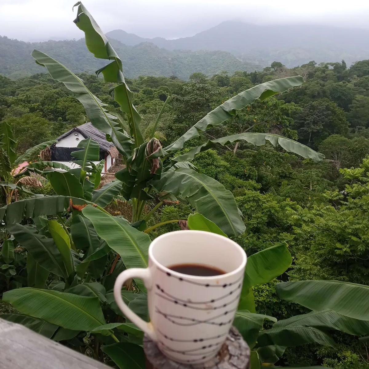 Mirador Del Parque Tayrona Hostel photo 3