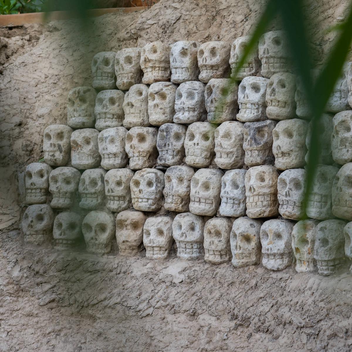 Cocos Hotel photo 3