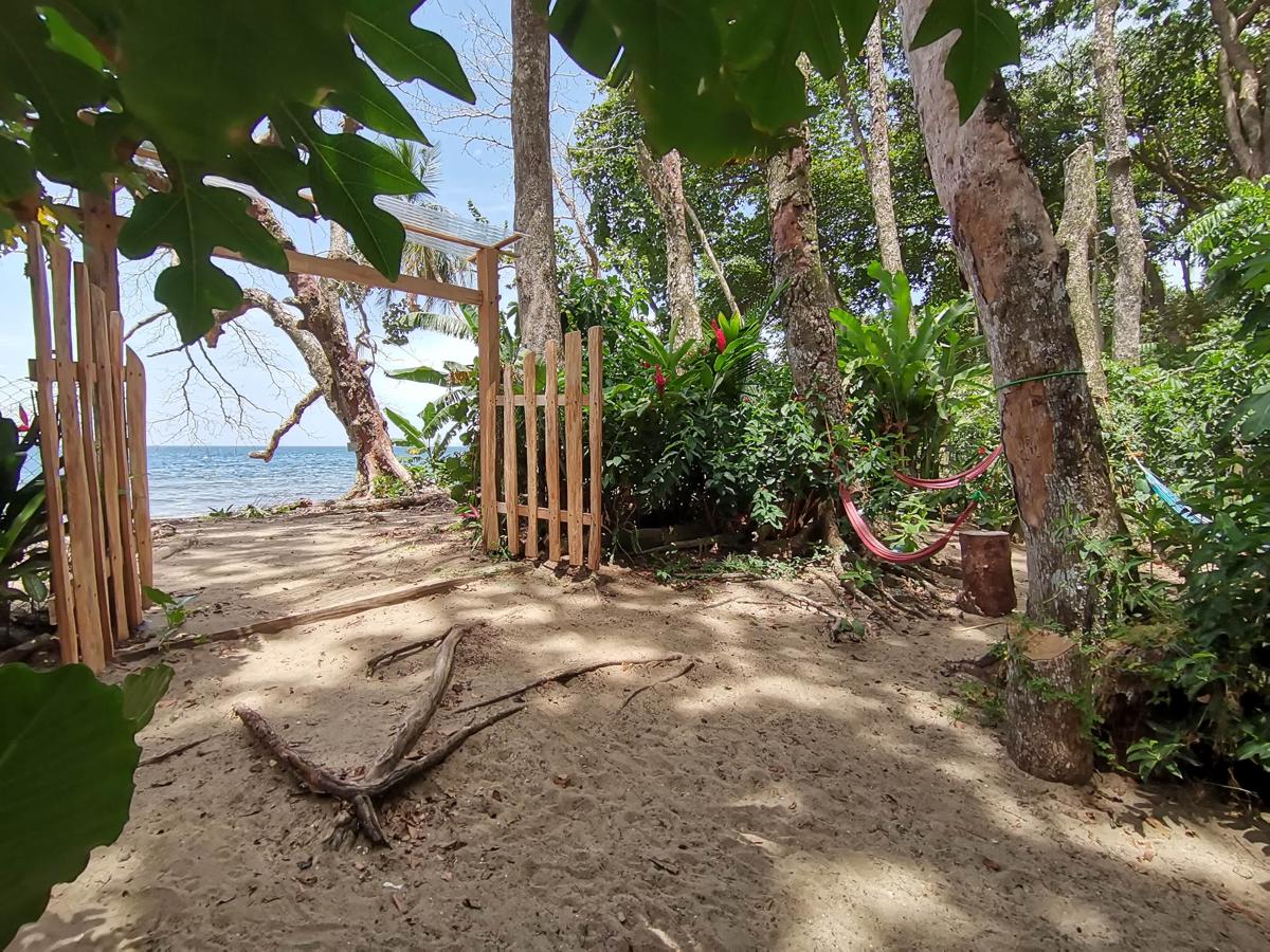 Oasis Beachfront Hostel photo 1