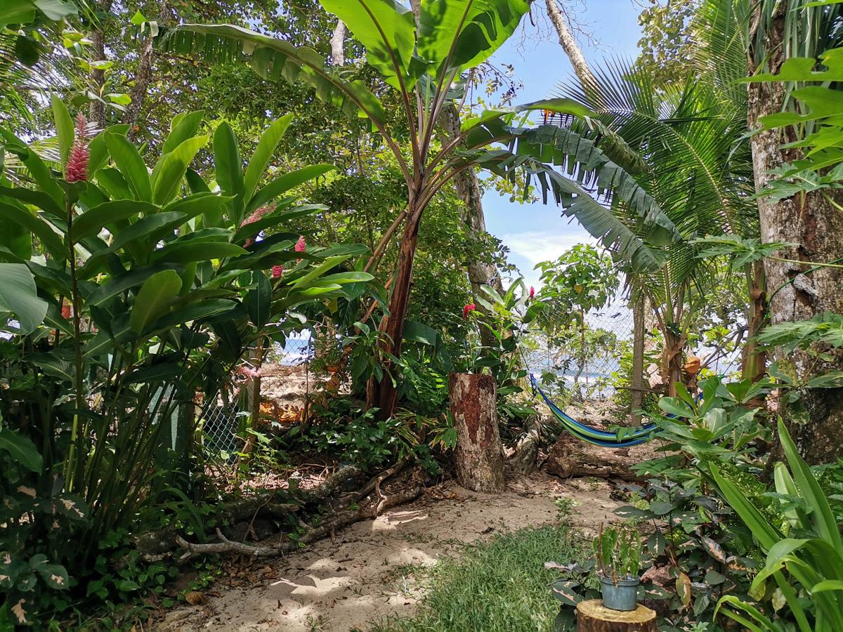 Oasis Beachfront Hostel photo 2