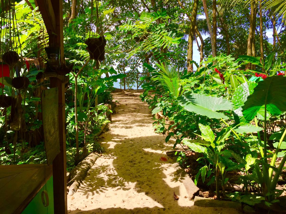 Oasis Beachfront Hostel photo 3