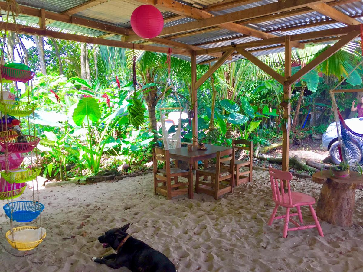 Oasis Beachfront Hostel photo 4
