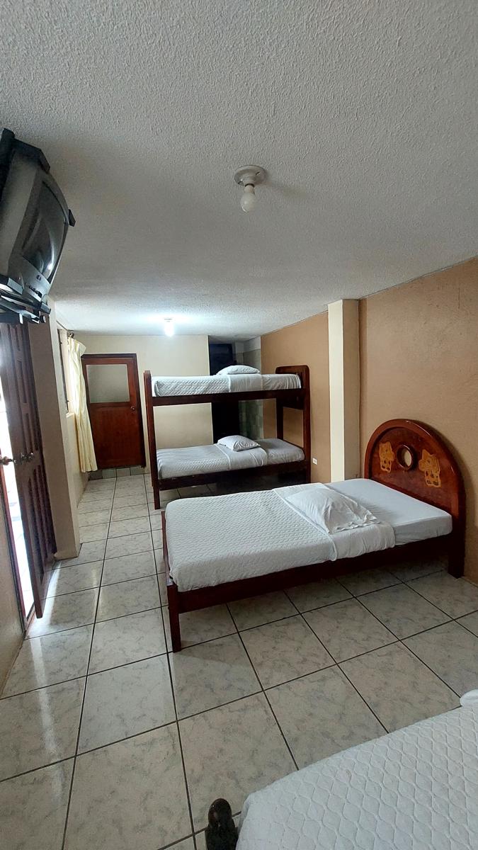 Hostal Palmar photo 1