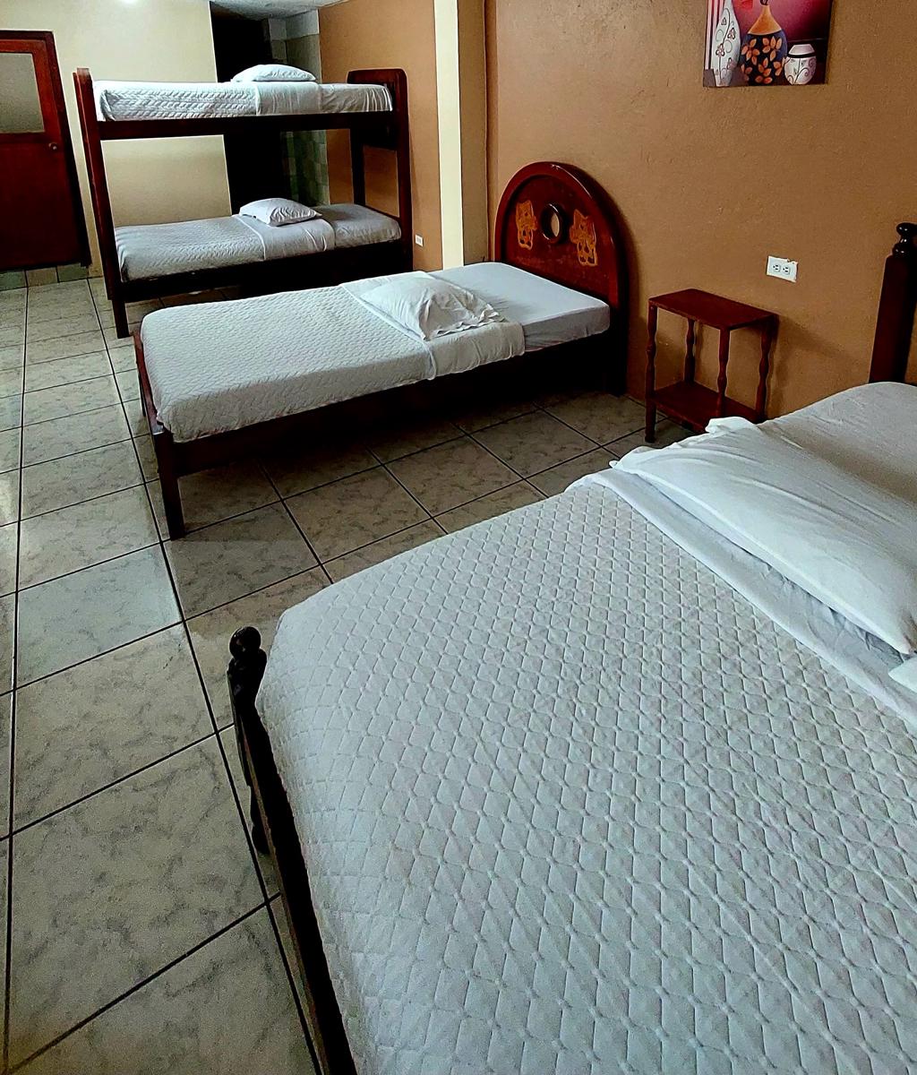 Hostal Palmar photo 2