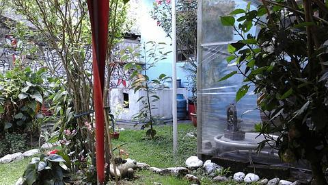 Hostal Palmar photo 6