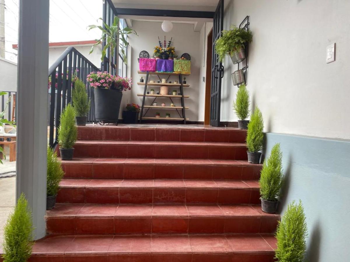 Casa Soledad photo 6