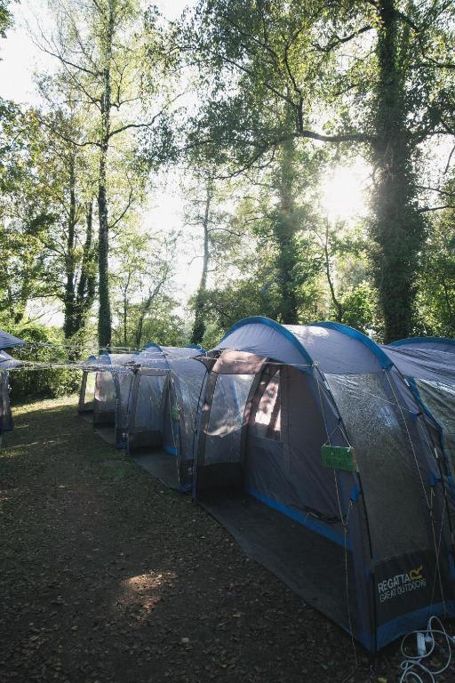 Beer Base-Camp photo 4