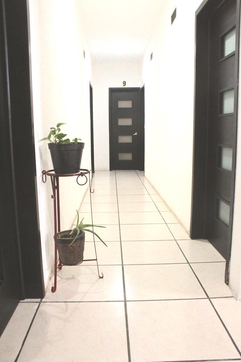 Tacuba Hotel photo 4