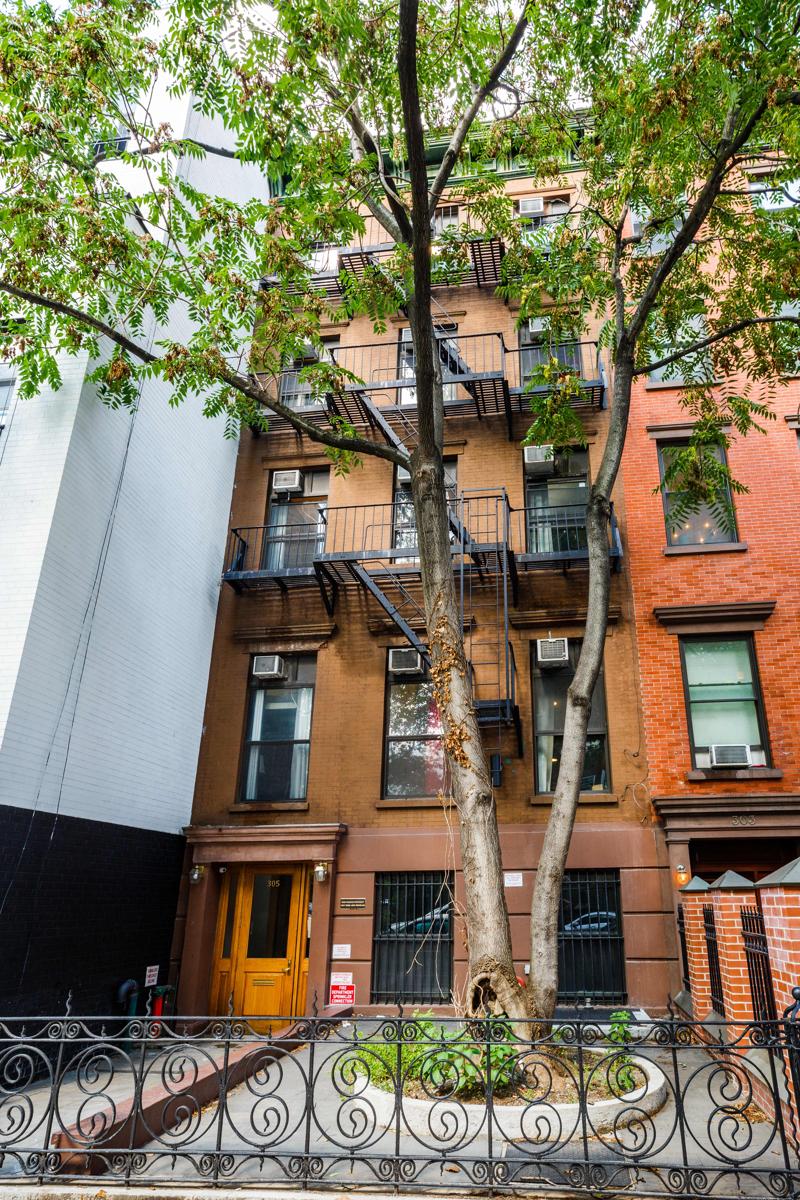 Lamartine Chelsea photo 1