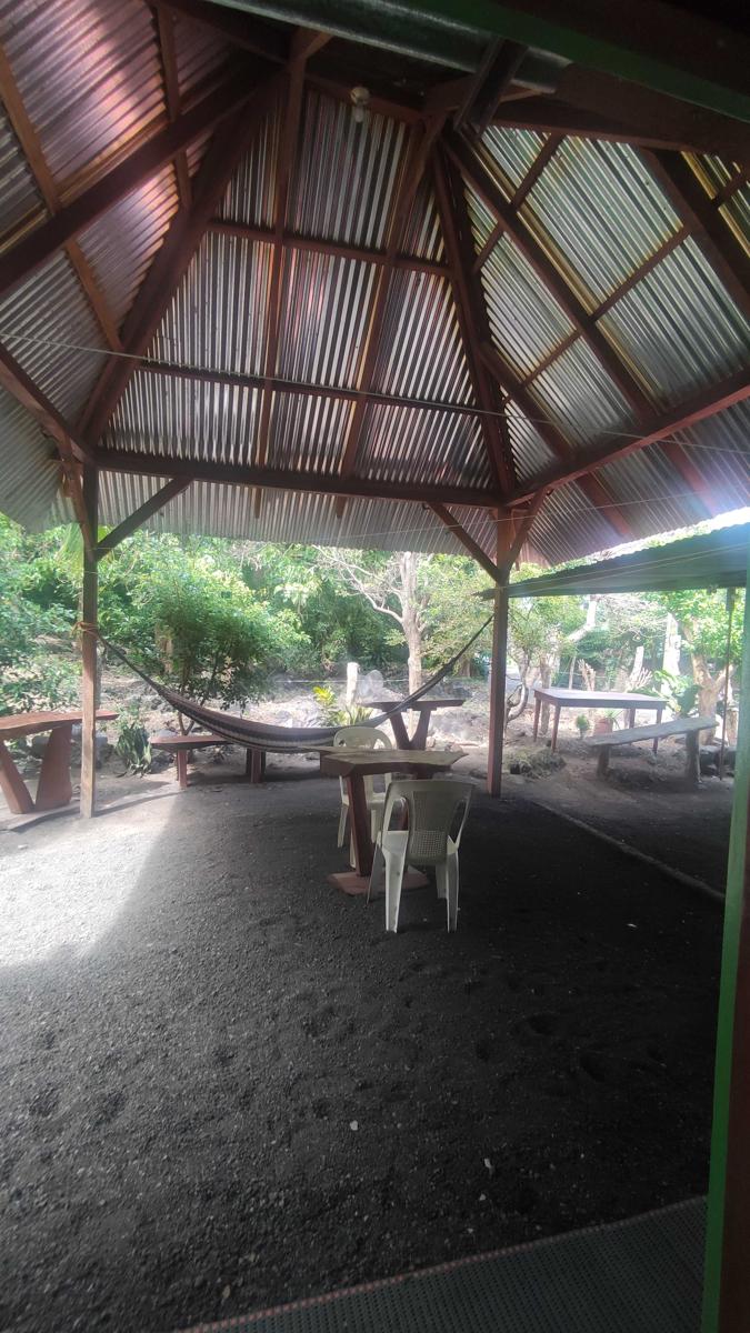 La Inculta Hostel Ometepe photo 3