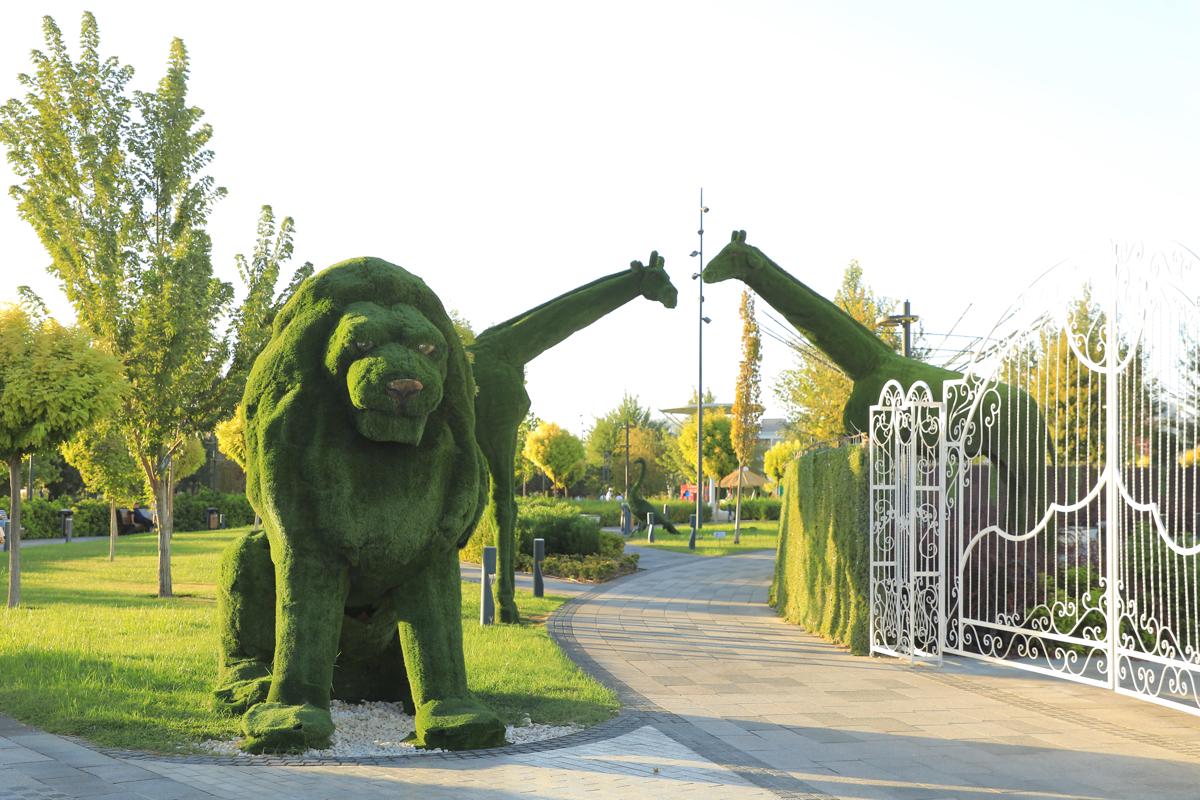 Doo Hostel Tashkent City photo 4