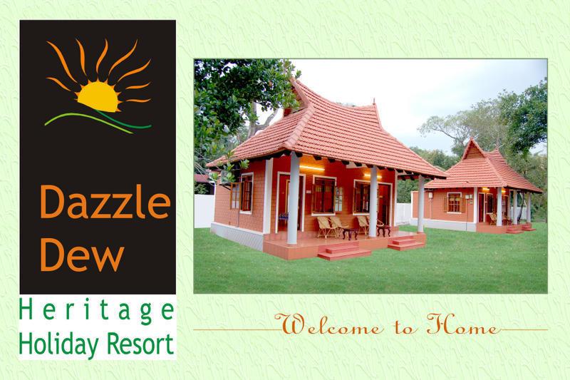 Dazzle Dew photo 6