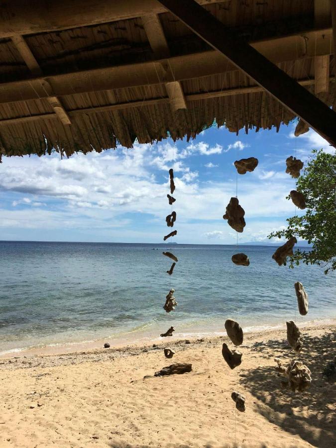 Tori's Backpackers Paradise photo 1