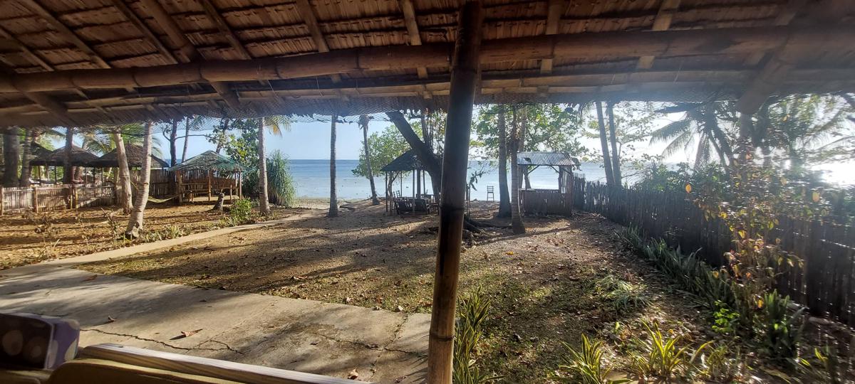Tori's Backpackers Paradise photo 2