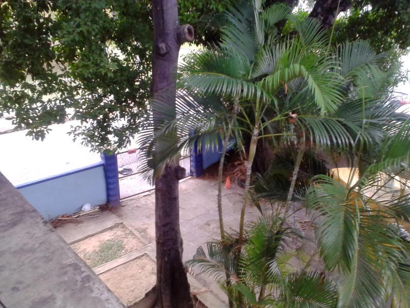 Peter Pearl's Guest House photo 6