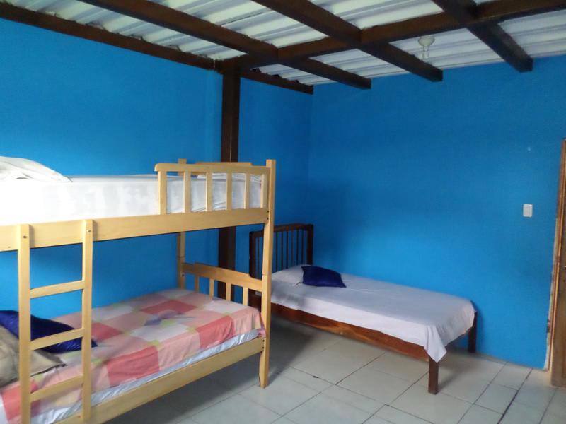 Thefunkymonkeyhostel photo 1