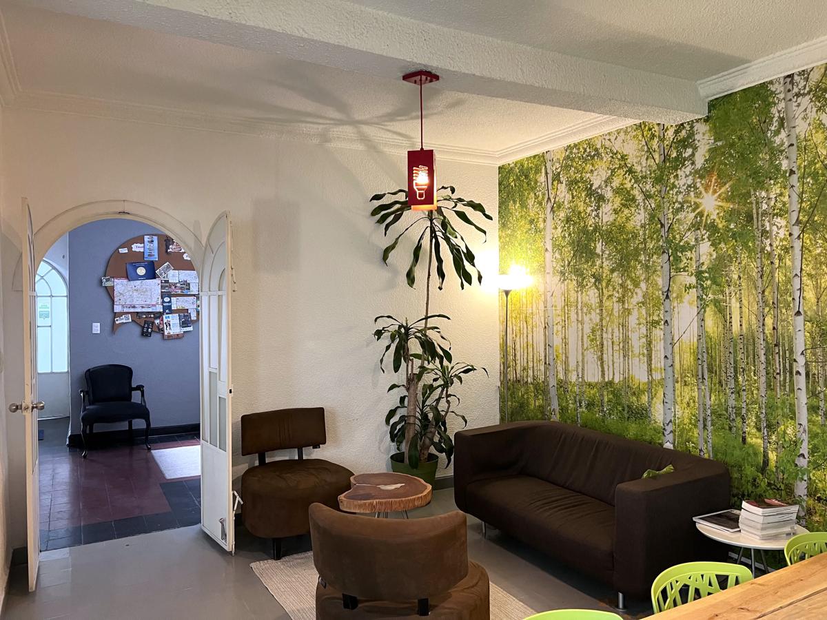 Distrito Condesa Rooms and Suites photo 3