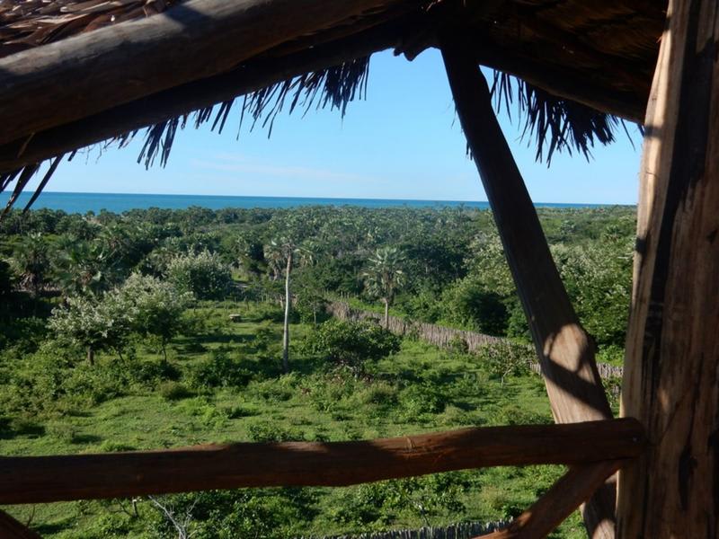 Raizes Eco Hostel photo 2