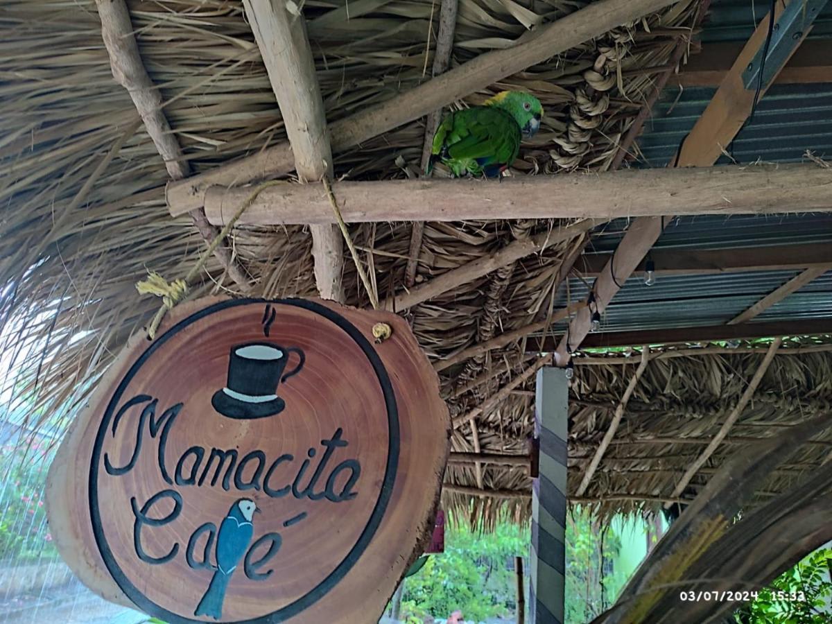 Mamacita Cafe House photo 3