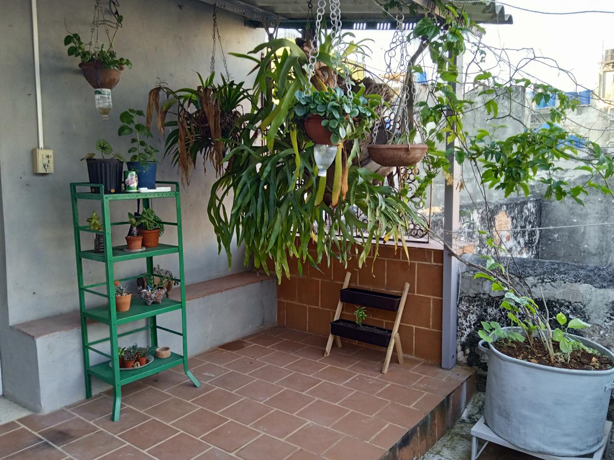 Sra Esther Casa Titica photo 2