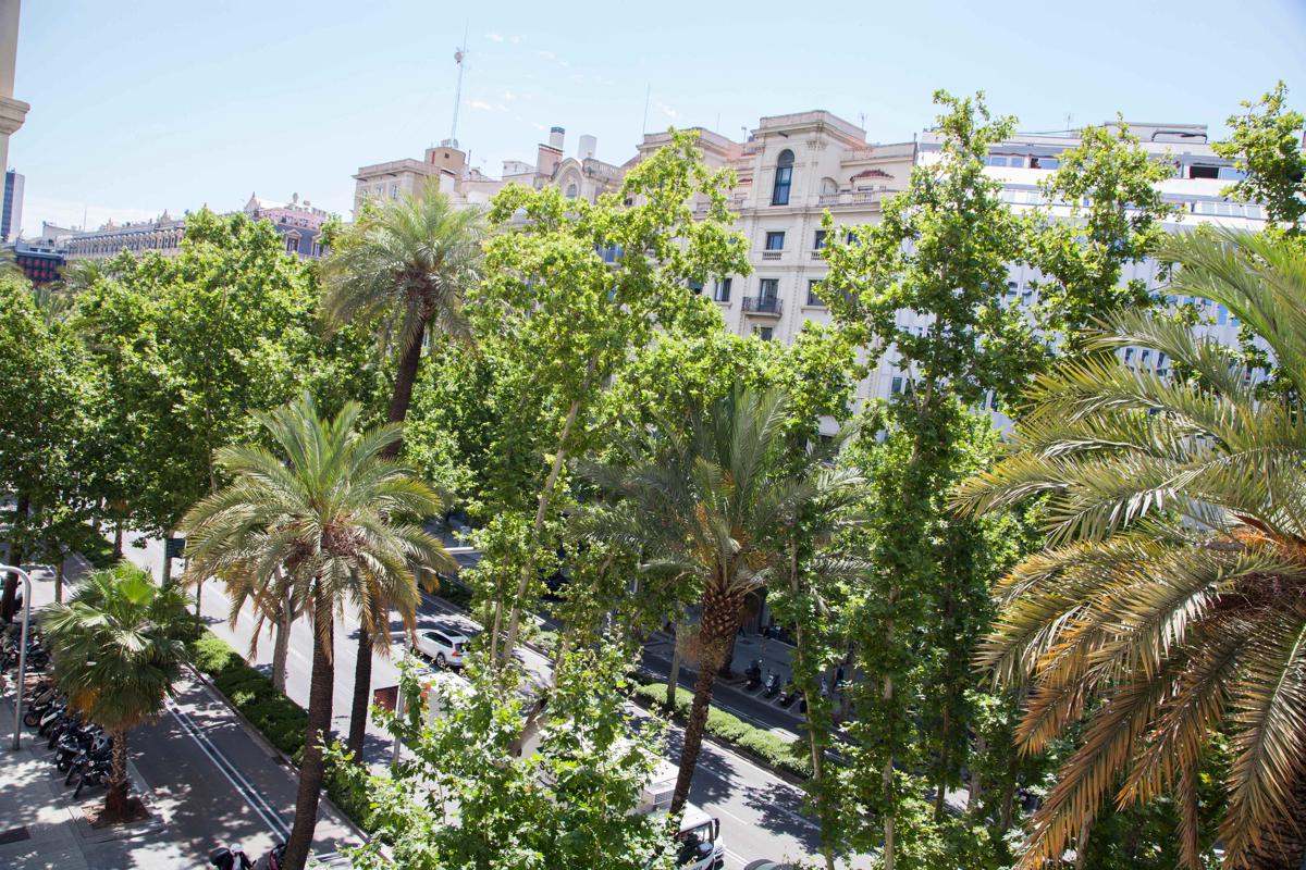 WOW! Barcelona photo 3