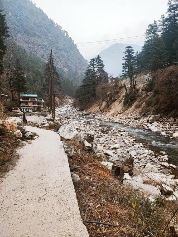 The Trippy Tribe Kasol photo 6