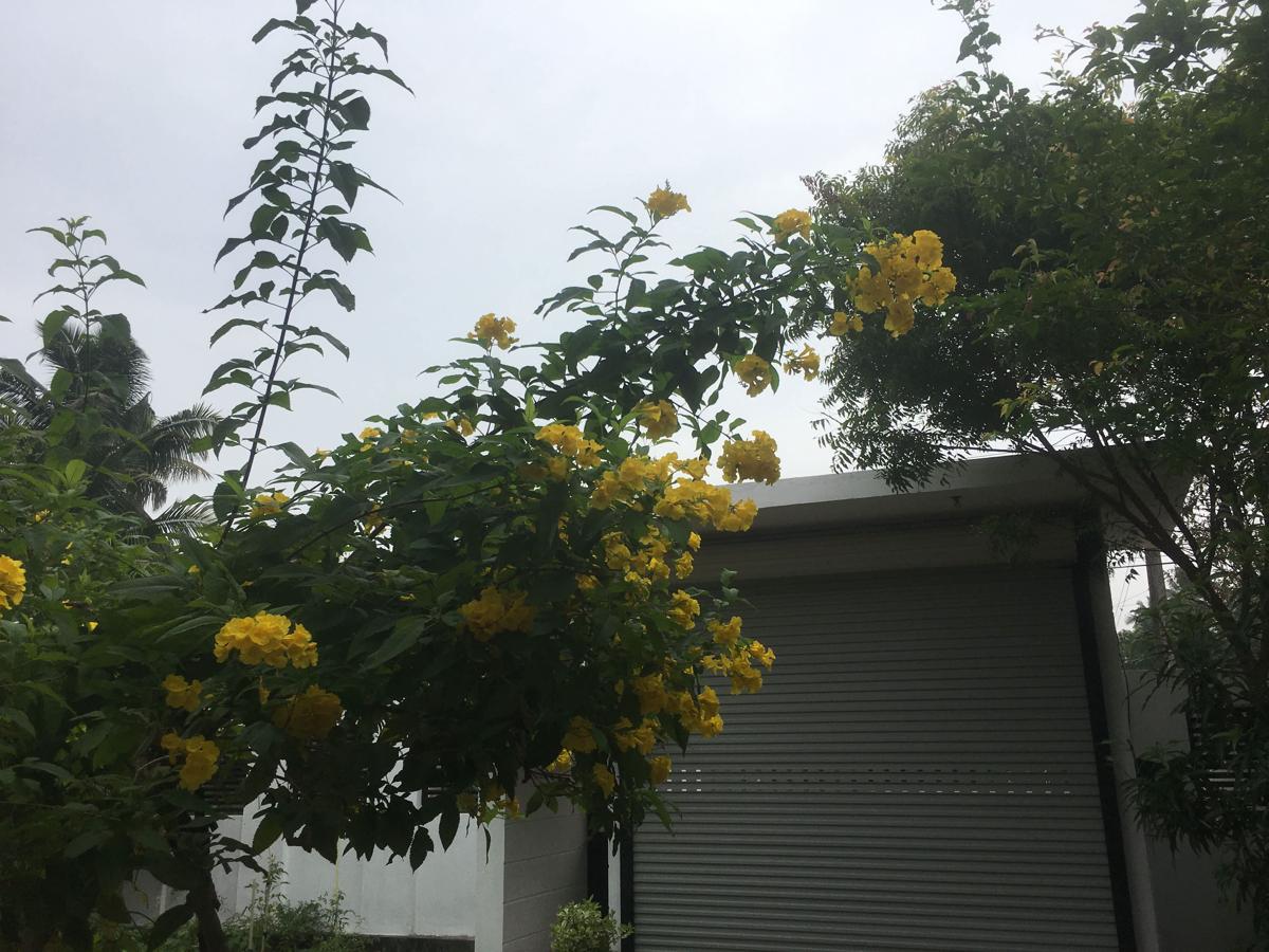 Air Ray Homestay photo 4