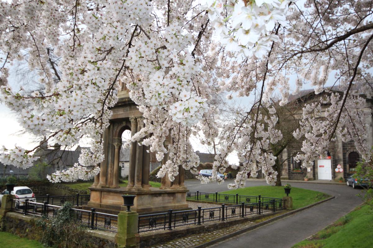 Stirling Youth Hostel photo 2