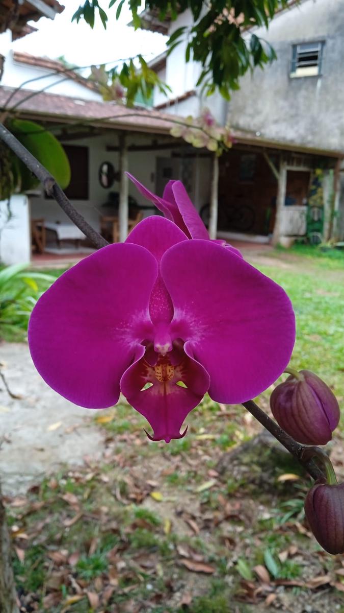 Casa Soul Green photo 2