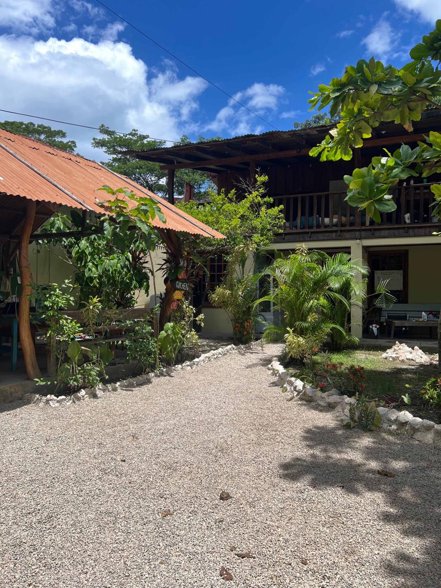 Woodstock Hostel photo 2