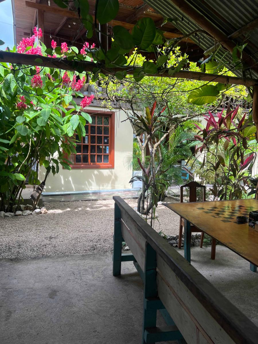 Woodstock Hostel photo 4