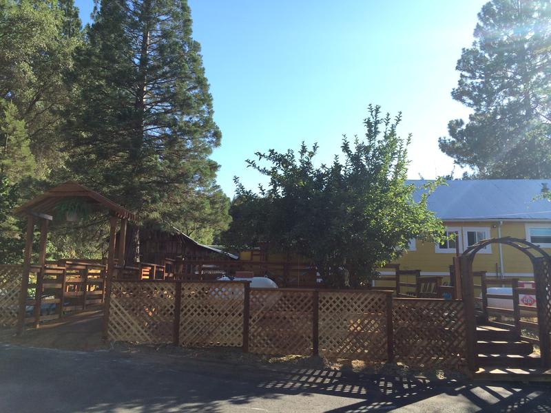 Yosemite International Hostel photo 3