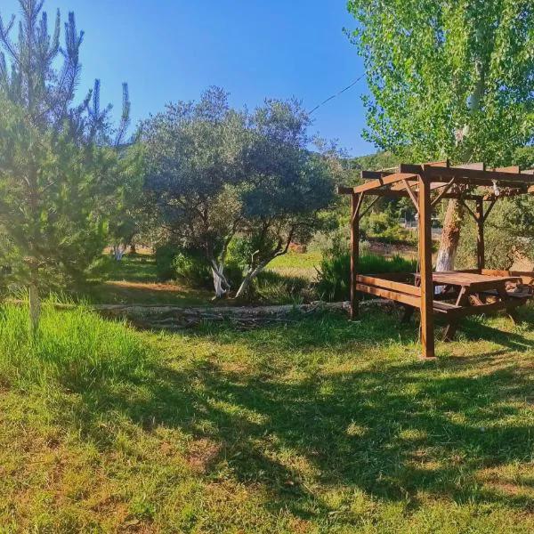 VİTA CAMPING photo 5