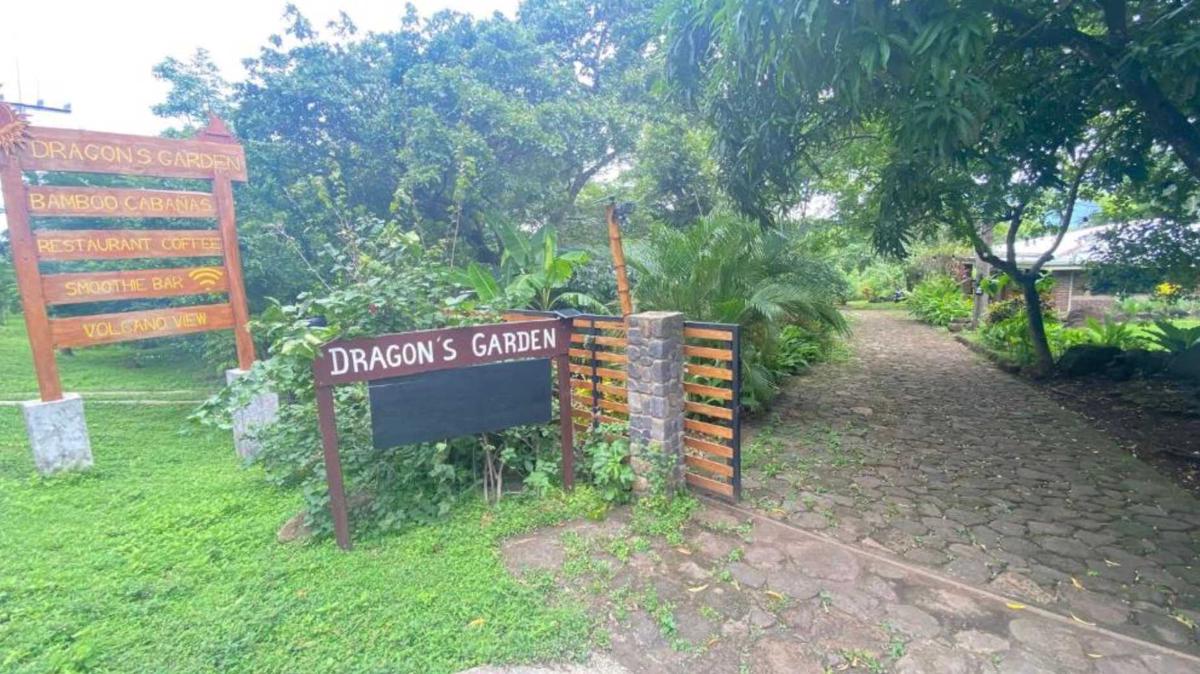 Dragon's Garden photo 2