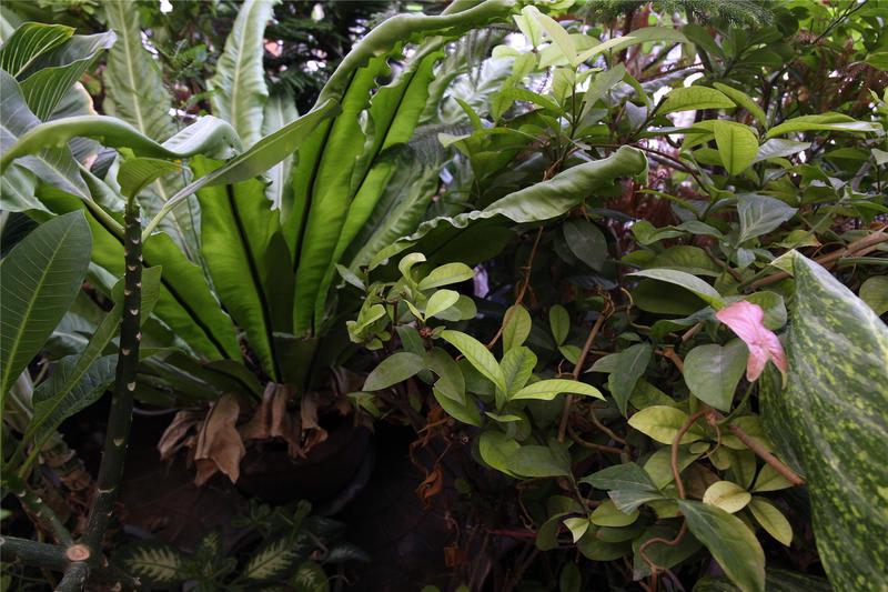 Thai Cozy House photo 3