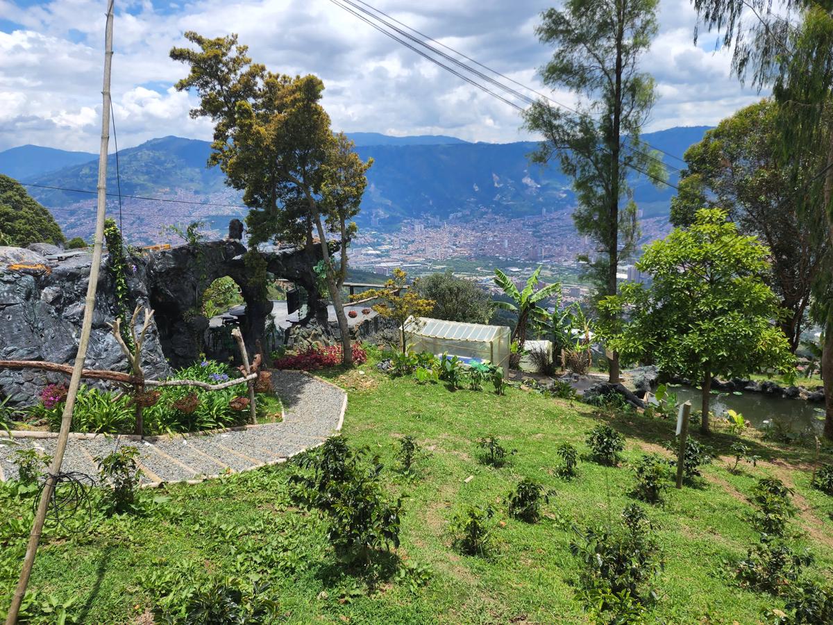 Don Leandro Coffee Farm photo 2