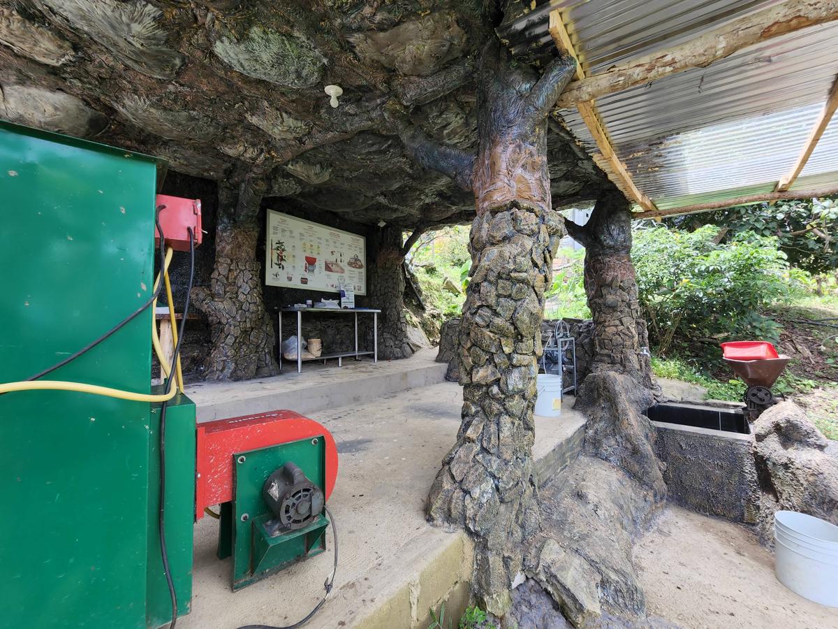 Don Leandro Coffee Farm photo 4