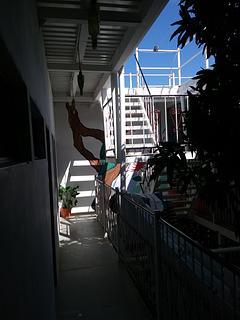 Casa Oro photo 6