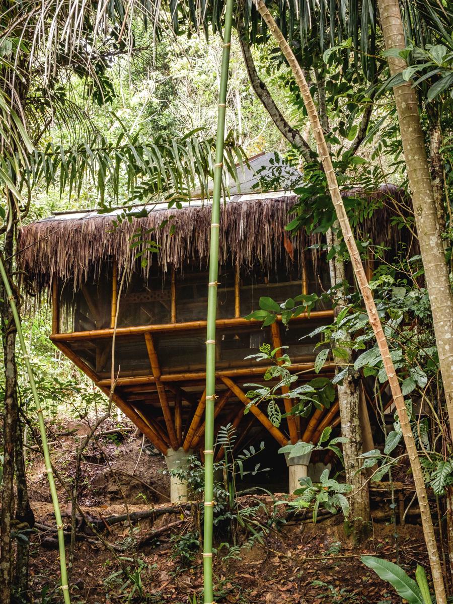Universo Pol Bamboo Hostel photo 4