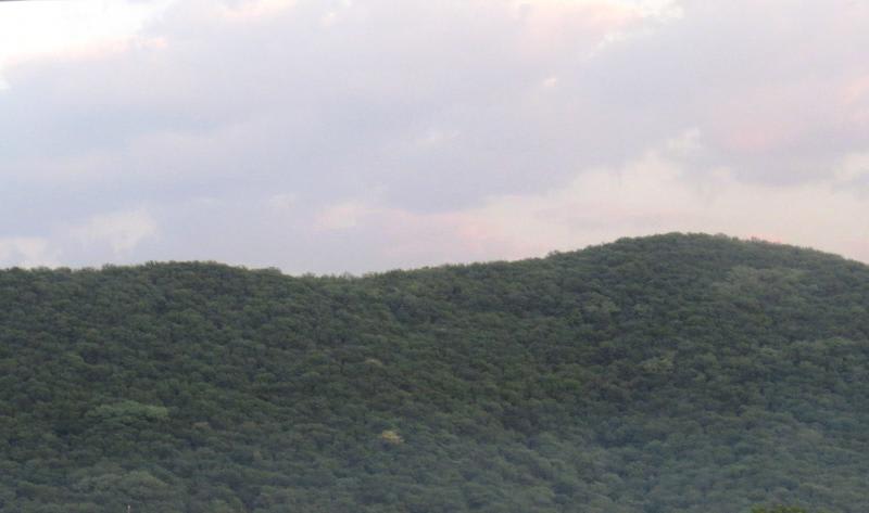 Rajputana Heritage photo 4