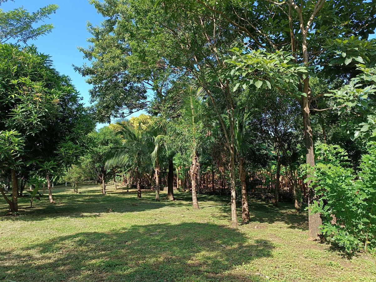 Holy Spirit Hostel Ometepe photo 4