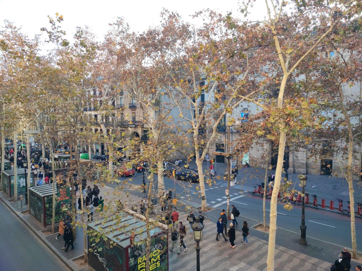 Hostal Parisien Las Ramblas photo 1