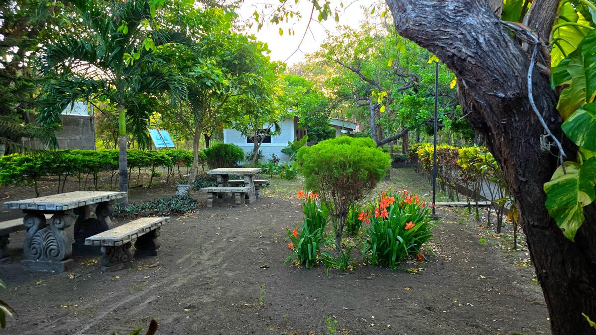 La Paloma Hostel photo 3