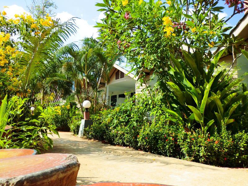 The Krabi Forest Homestay photo 3
