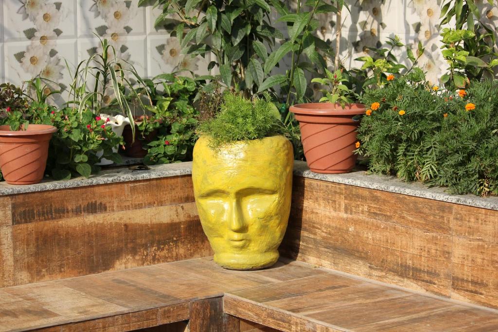 The Hideout Agra Homestay photo 1
