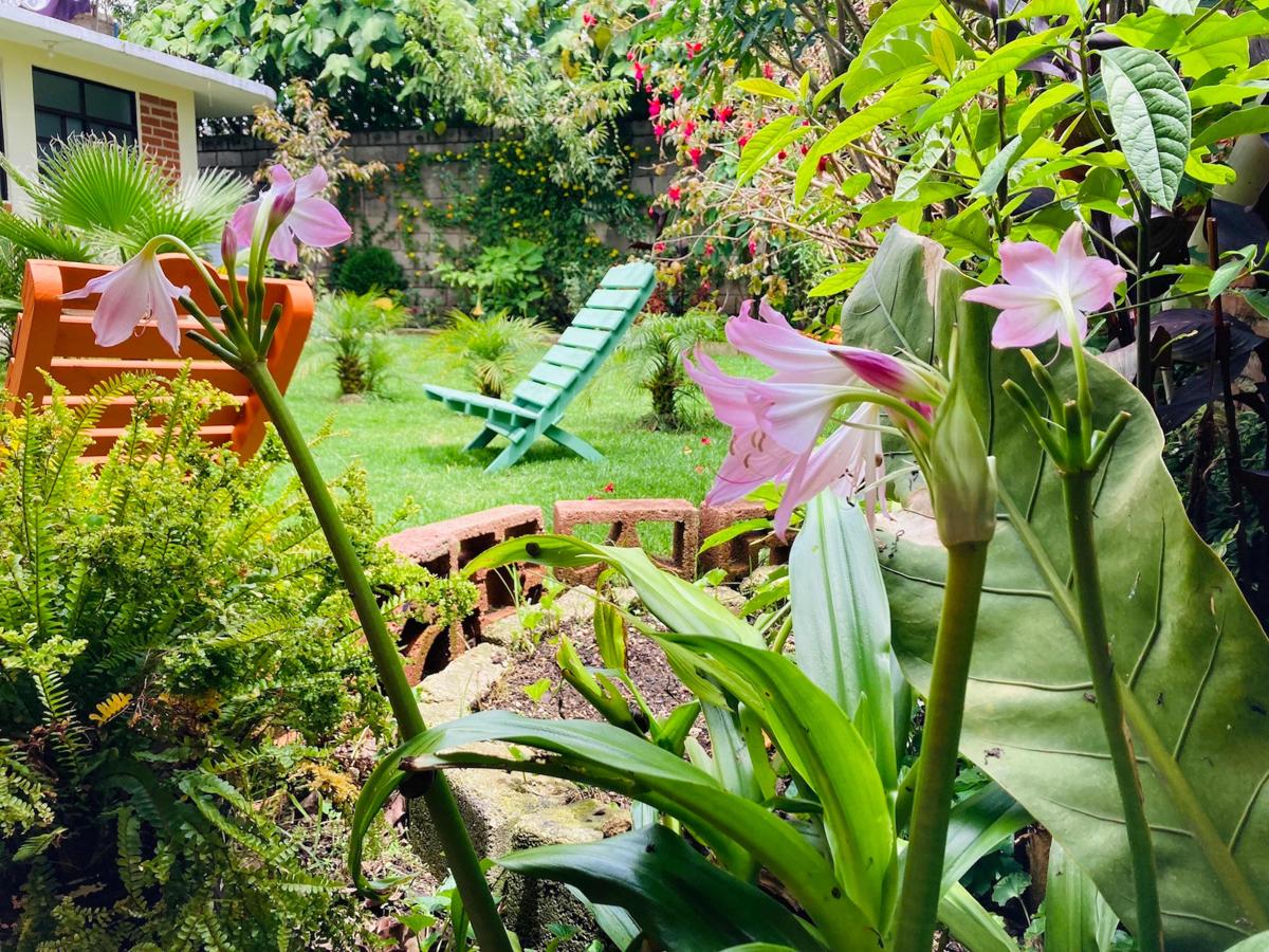 Casa Flor De Vida photo 1